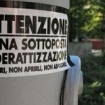 derattizazione